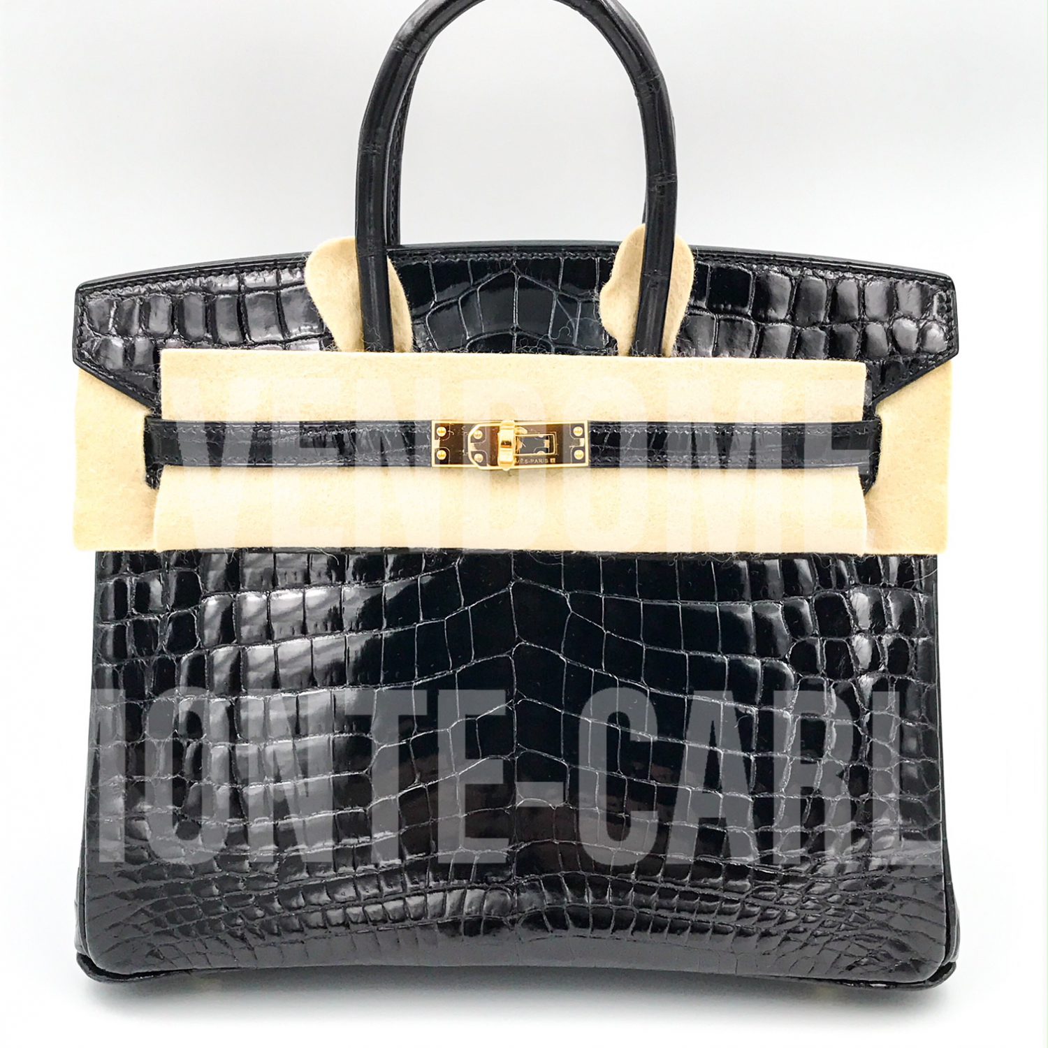 niloticus crocodile birkin