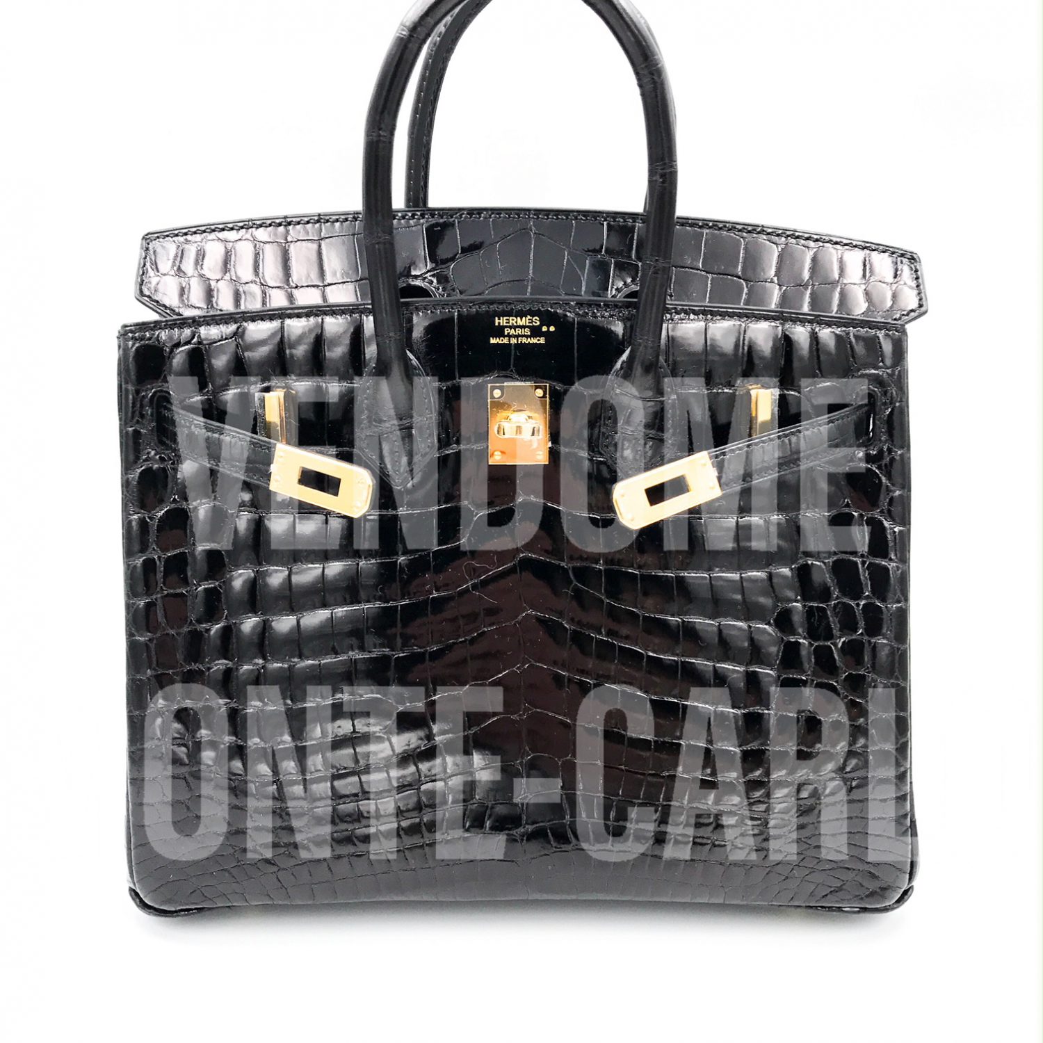 Hermes Birkin Bag Crocodile Leather Gold Hardware In Black