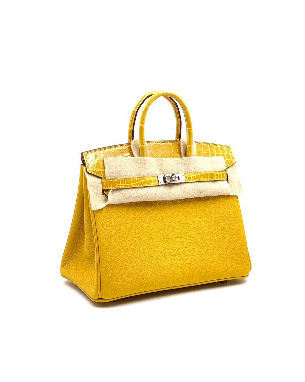 Hermes Birkin 25 Touch Ambre Togo/Shiny Niloticus Palladium Hardware -  Vendome Monte Carlo