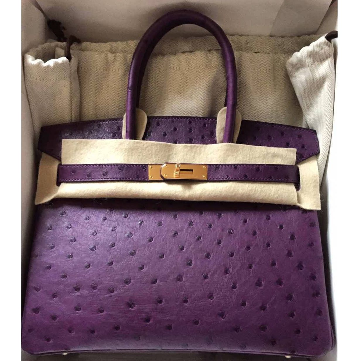 Hermes Kelly 25 Sellier Violet Autruche Ostrich Palladium Hardware