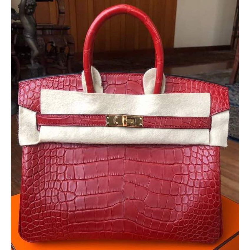 Hermes Birkin 25 Rouge Grenat Togo Palladium Hardware #C - Vendome Monte  Carlo