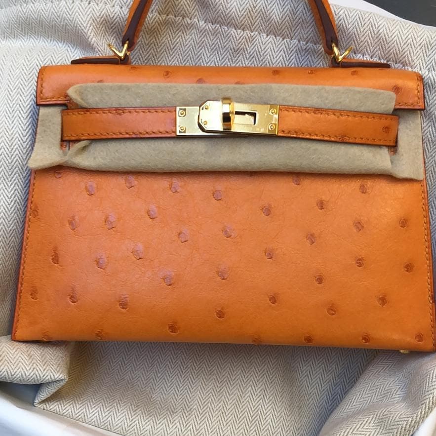 Hermes Kelly 20 Mini Sellier Abricot 