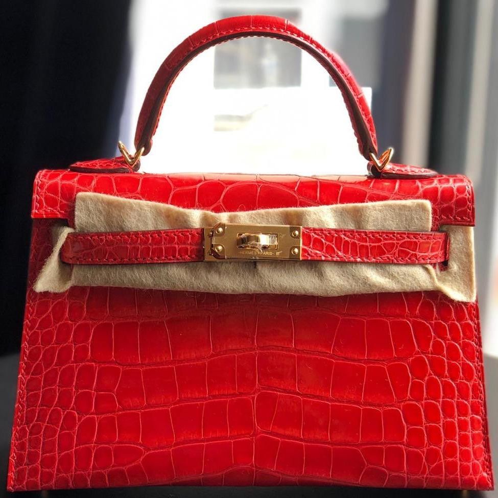 hermes croco mini