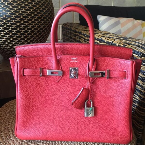 Hermes Birkin 25 Geranium Togo Palladium Hardware #X - Vendome Monte Carlo