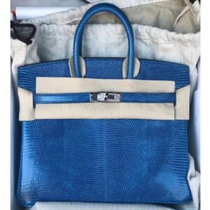 Hermes Birkin 25 Touch Ambre Togo/Shiny Niloticus Palladium Hardware -  Vendome Monte Carlo