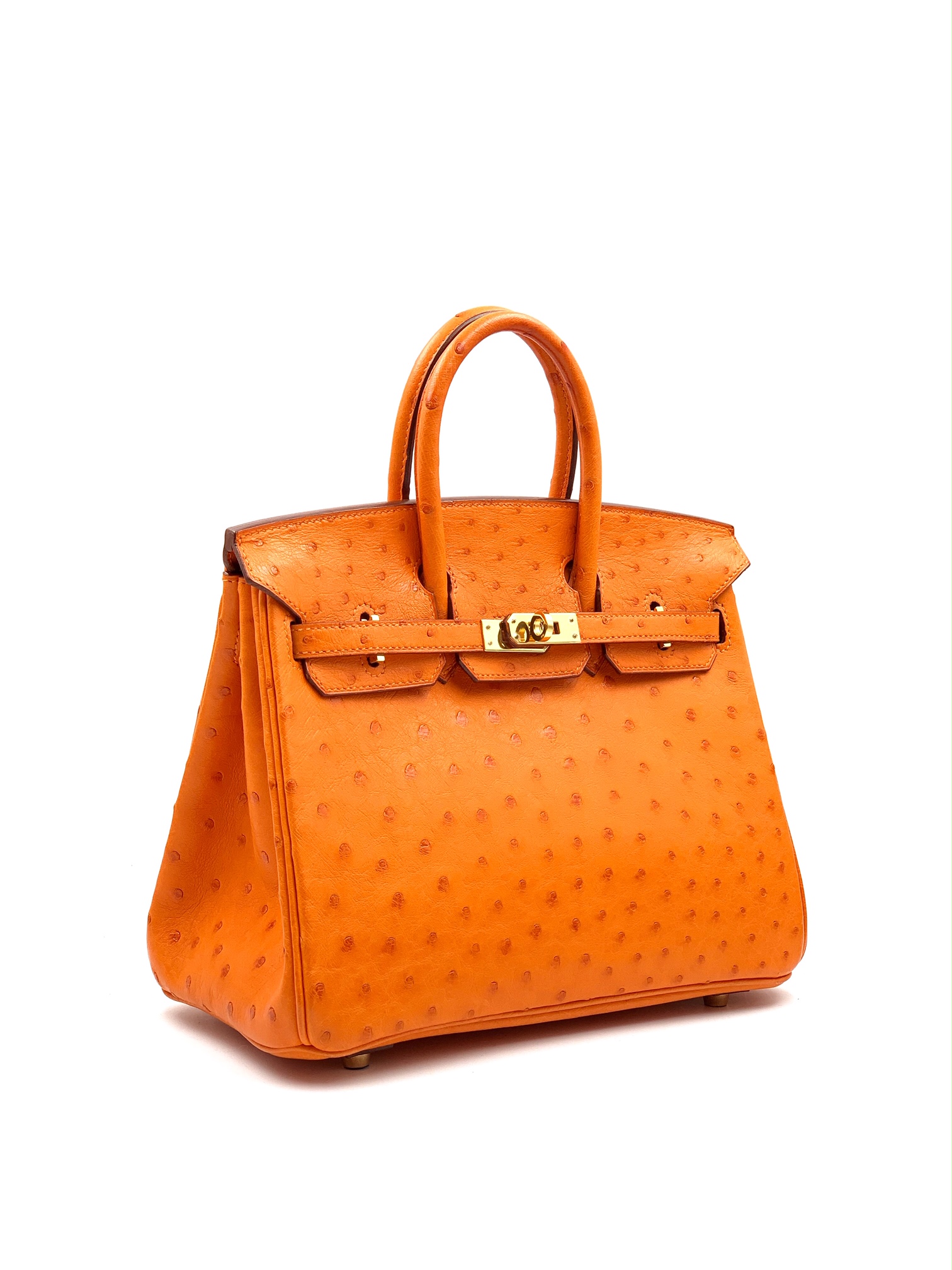 Hermès Birkin 25 Nata Ostrich GHW ○ Labellov ○ Buy and Sell