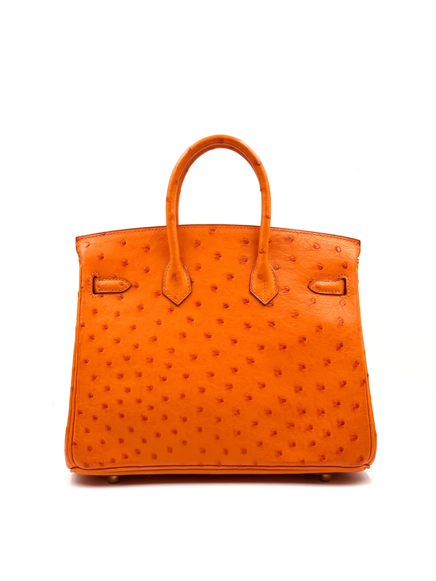 Hermes Birkin 25 Terre Cuite Autruche Ostrich Gold Hardware