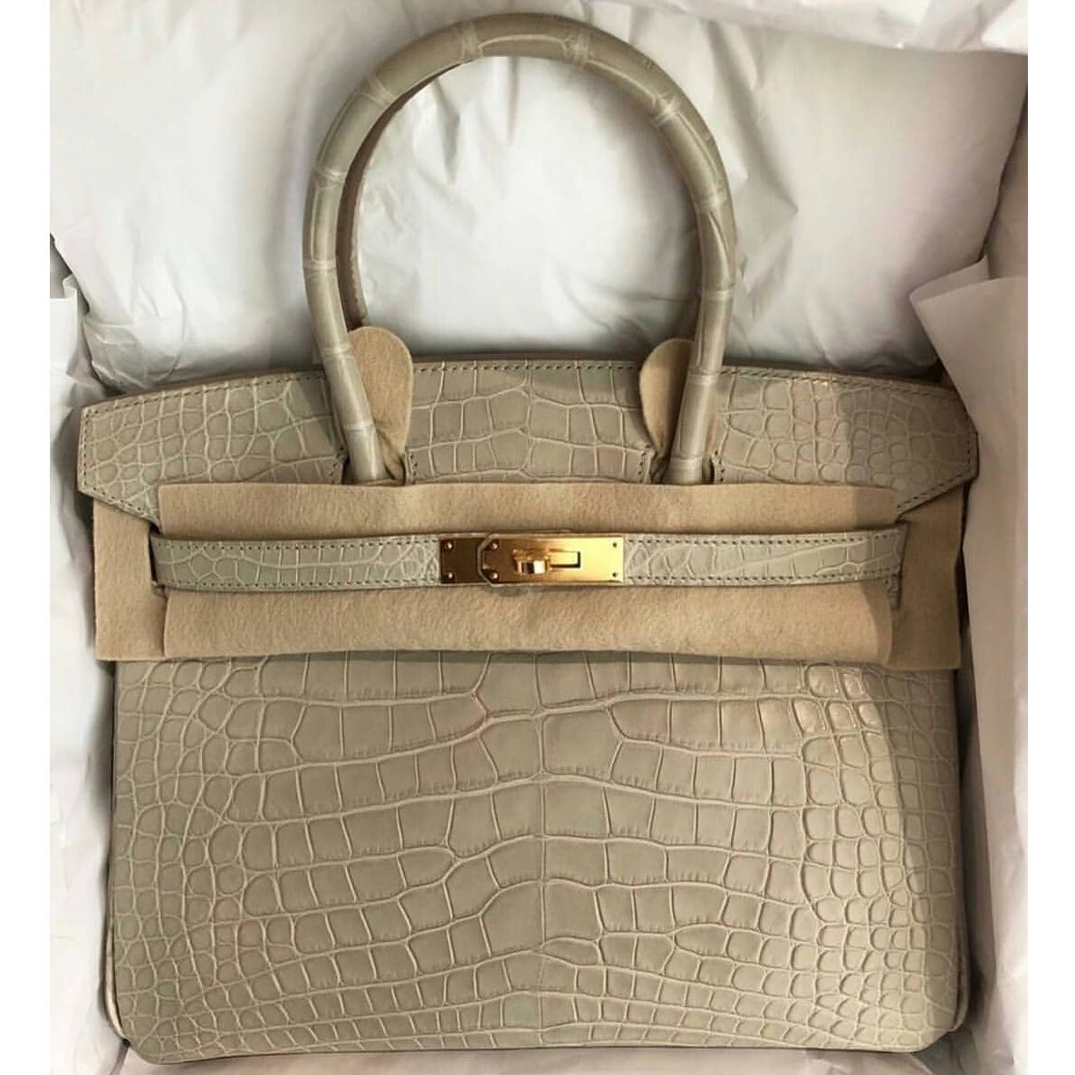 Hermès Birkin 30 Beton Crocodile Porosus Matte Gold Hardware GHW