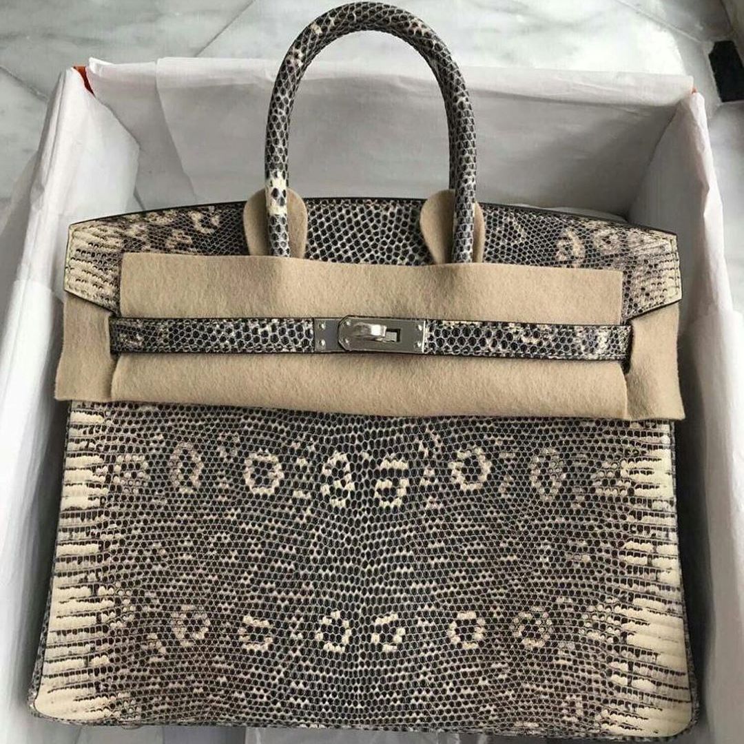 Hermes Birkin 25 Ombre Lezard Lizard Palladium Hardware C