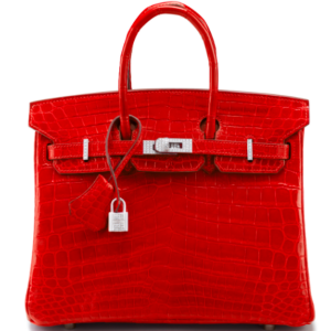 Hermes Birkin 25 Blanc White Himalaya Niloticus Mat Matte Palladium  Hardware #X - Vendome Monte Carlo