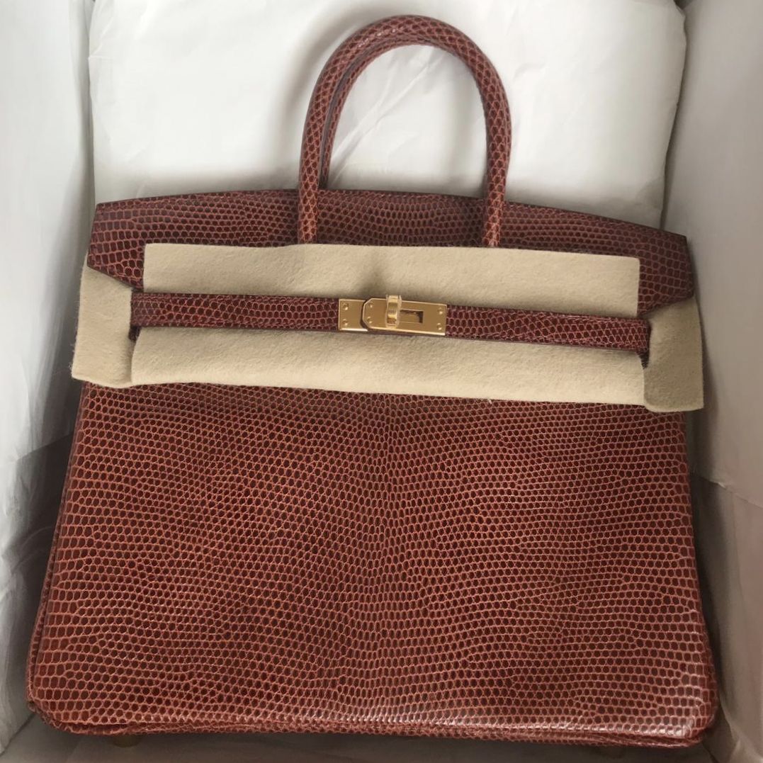 Hermes Birkin 25 Etrusque Lezard Lizard 