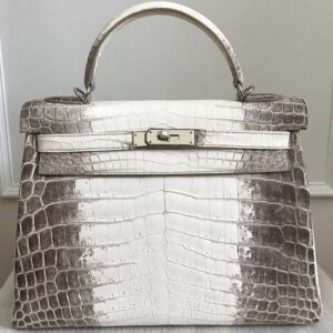 Hermes Birkin 25 Blanc White Himalaya Niloticus Mat Matte Gold/Diamond  Hardware #Q - Vendome Monte Carlo