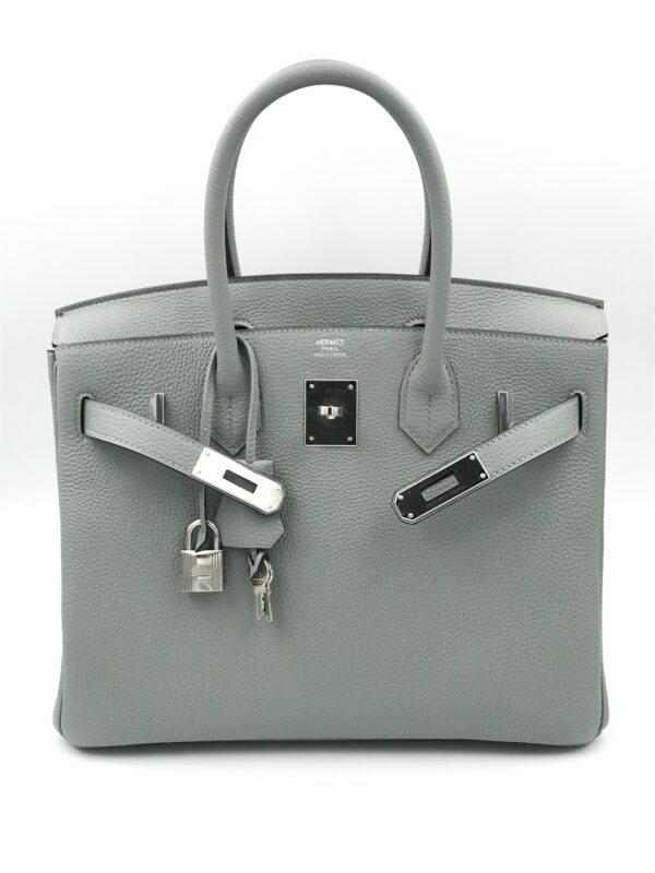 Hermes Birkin 25 Handbag 4Z Gris Mouette Togo GHW