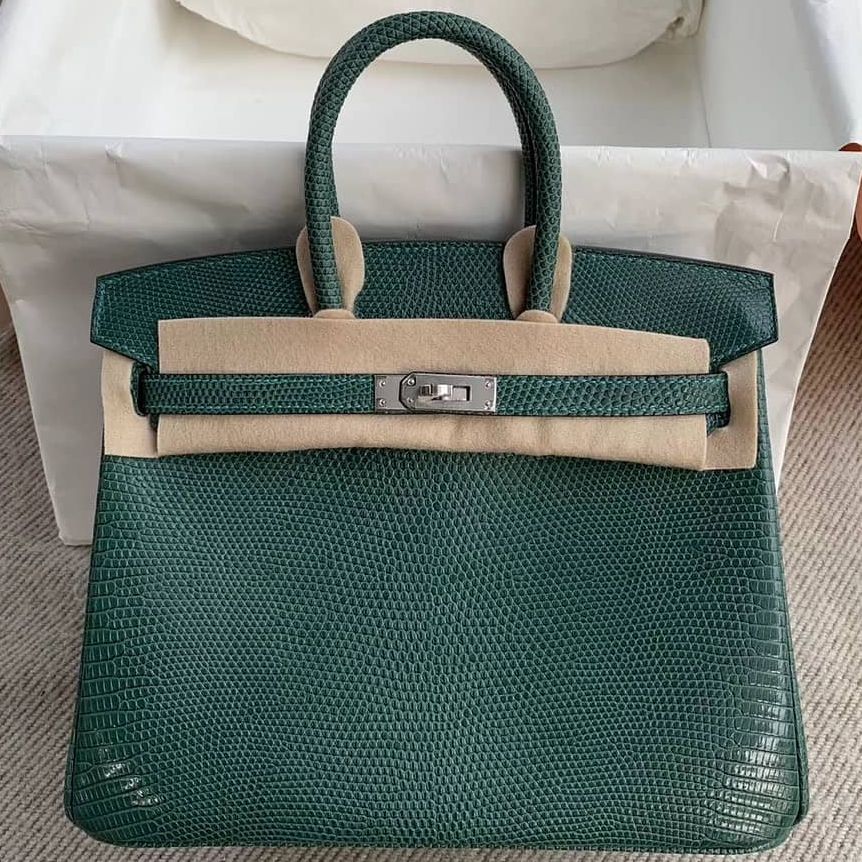 hermes lizard birkin