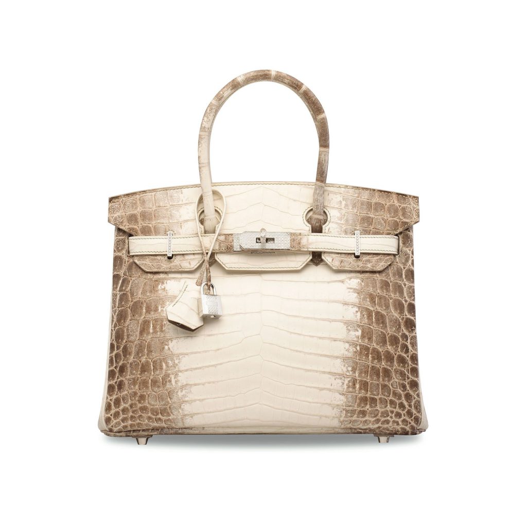 birkin constance bag