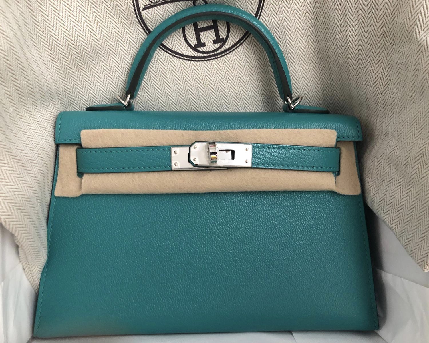 Hermes Kelly 20 Mini Sellier Bag Lime Chevre Leather Palladium New w/B –  Mightychic