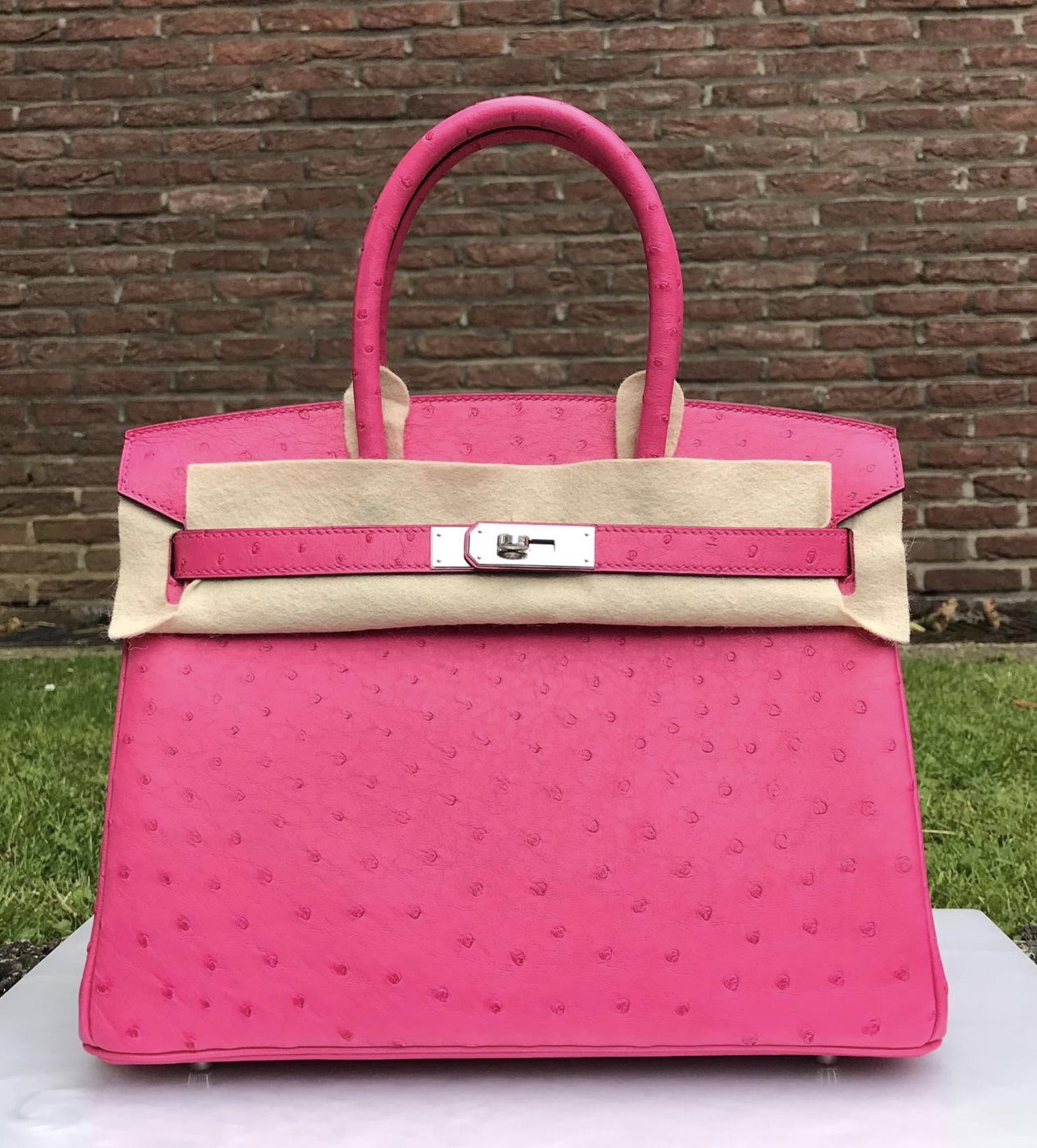 Hermes Birkin 25 Bag Rose Tyrien Ostrich Palladium Hardware