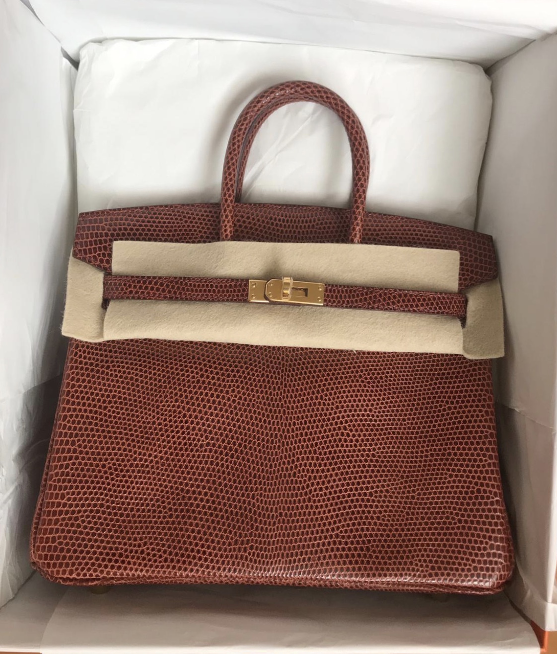 Hermes Birkin 25 Etrusque Lezard Lizard Gold Hardware #C - Vendome