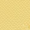 vendome-hermes-colors-jaunepoussin