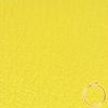 vendome-hermes-colors-lime