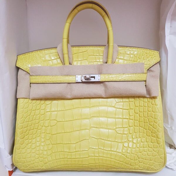 Hermes Birkin 25 Lime Alligator Mat Matte Palladium Hardware #A ...