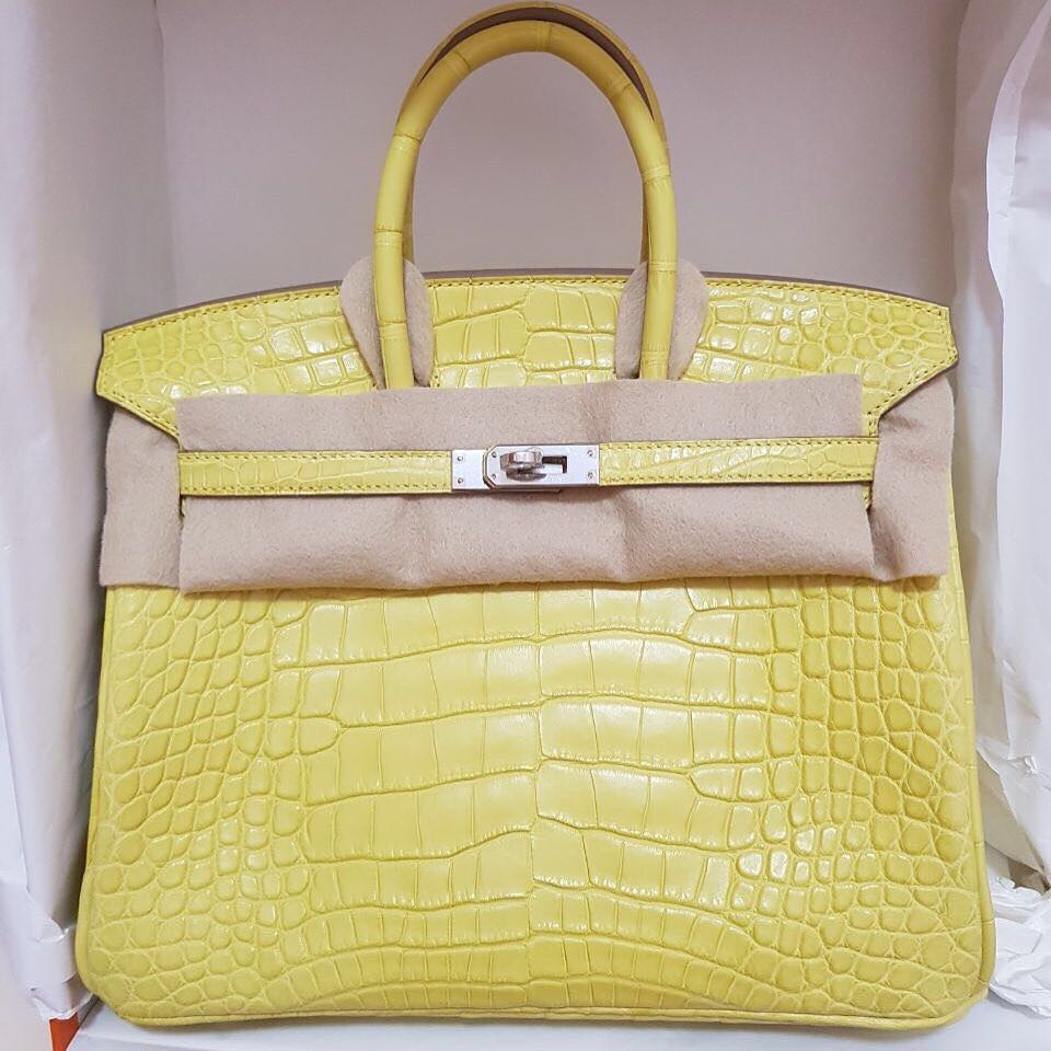 hermes birkin lime