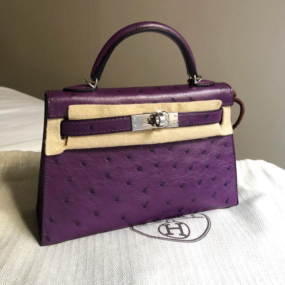 hermes mini kelly ostrich