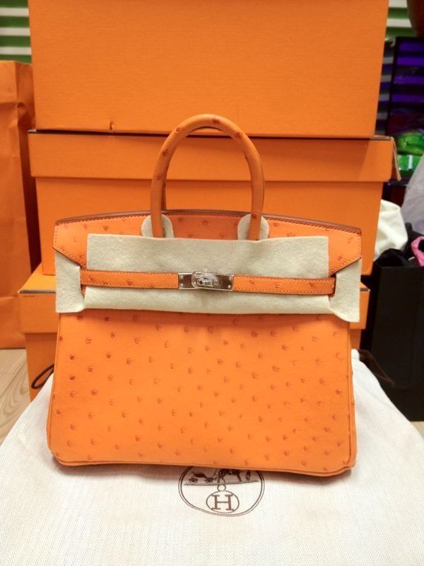 hermes ostrich birkin 25