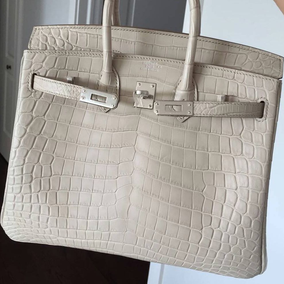 Hermes Birkin 25 Beton Niloticus Mat 