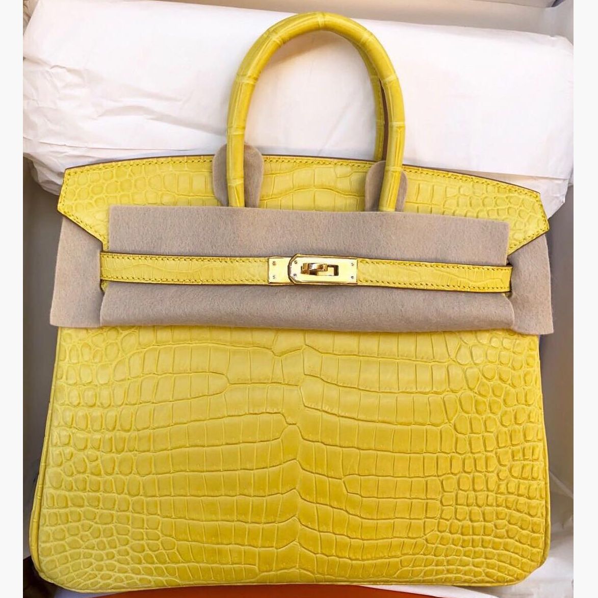 Hermès Birkin 25 Mimosa Crocodile Porosus Matte Gold Hardware GHW