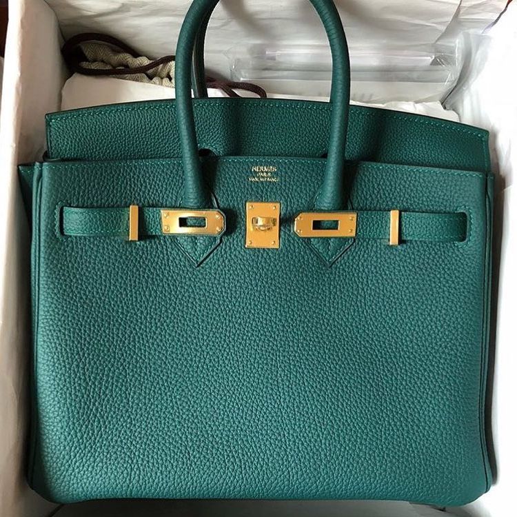 Hermes Birkin 25 Gold Togo Gold Hardware - Vendome Monte Carlo