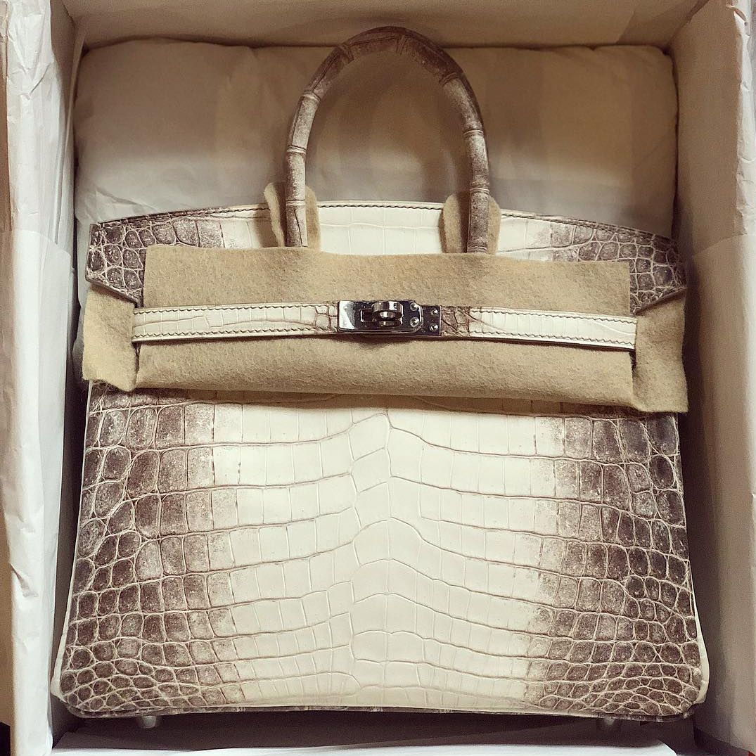 Hermes Birkin 25 Blanc White Himalaya Niloticus Mat Matte