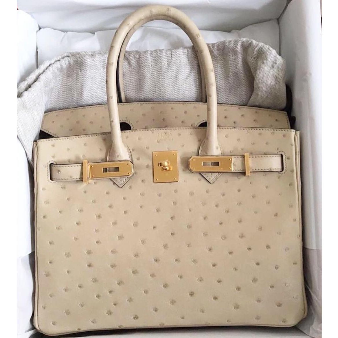 Hermes Birkin 30 Parchemin Autruche Ostrich Gold Hardware #T - Vendome  Monte Carlo