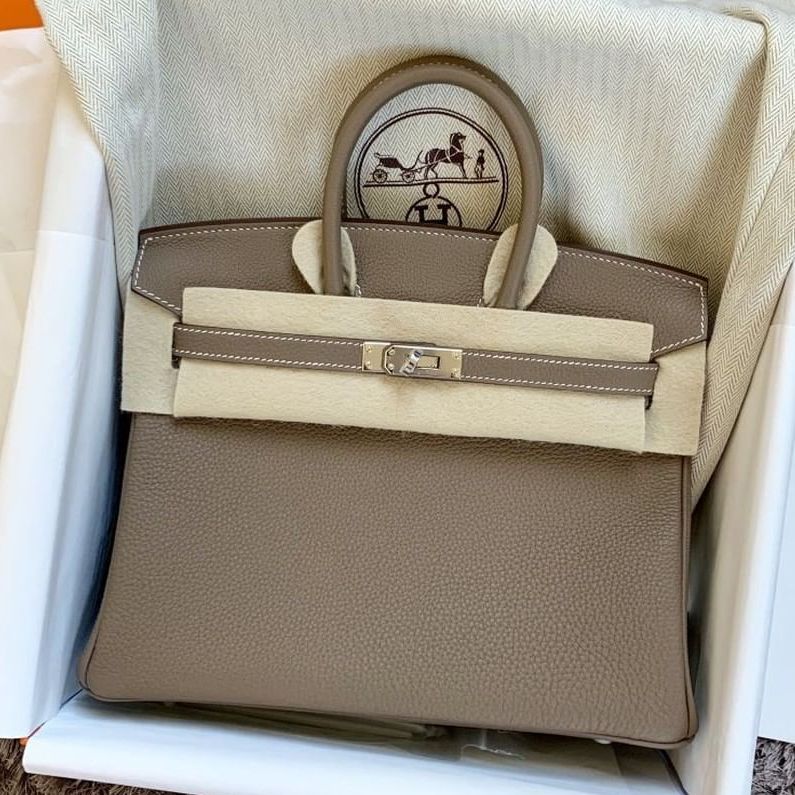 Hermes Birkin 25 Etoupe Togo Palladium Hardware #D - Vendome Monte Carlo