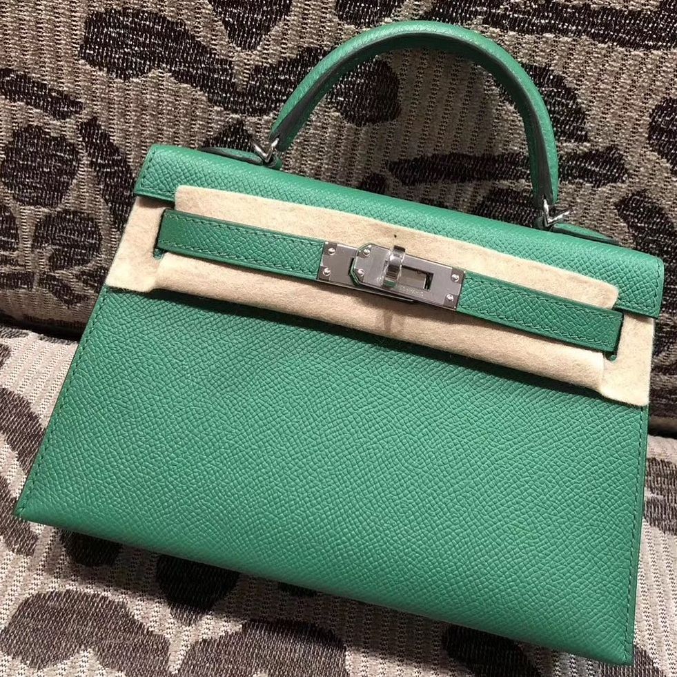 hermes kelly cactus