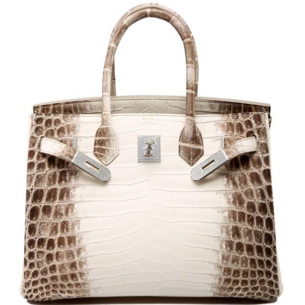 Hermes Birkin 30 Blanc White Himalaya Niloticus Mat Matte White Gold ...