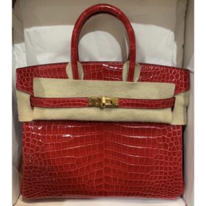 Hermes Birkin 25 Mimosa Niloticus Mat Matte Gold Hardware #Q - Vendome  Monte Carlo