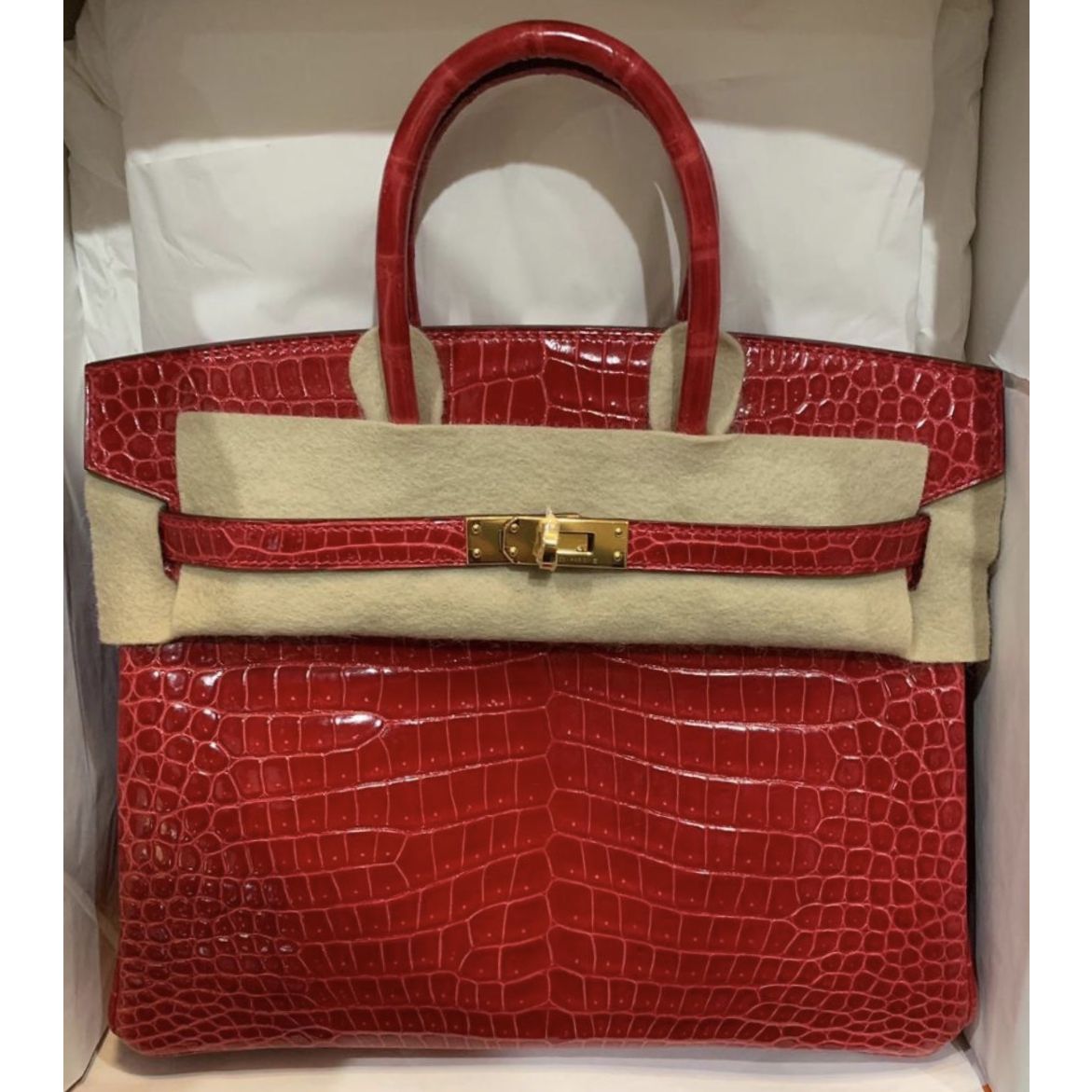 Hermes Birkin 25 Braise Porosus Lisse 