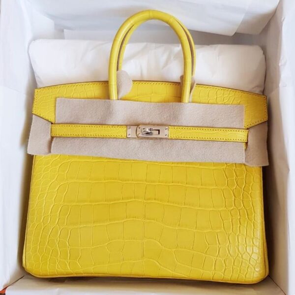 Hermes Birkin 25 Mimosa Alligator Mat Matte Palladium Hardware #D ...