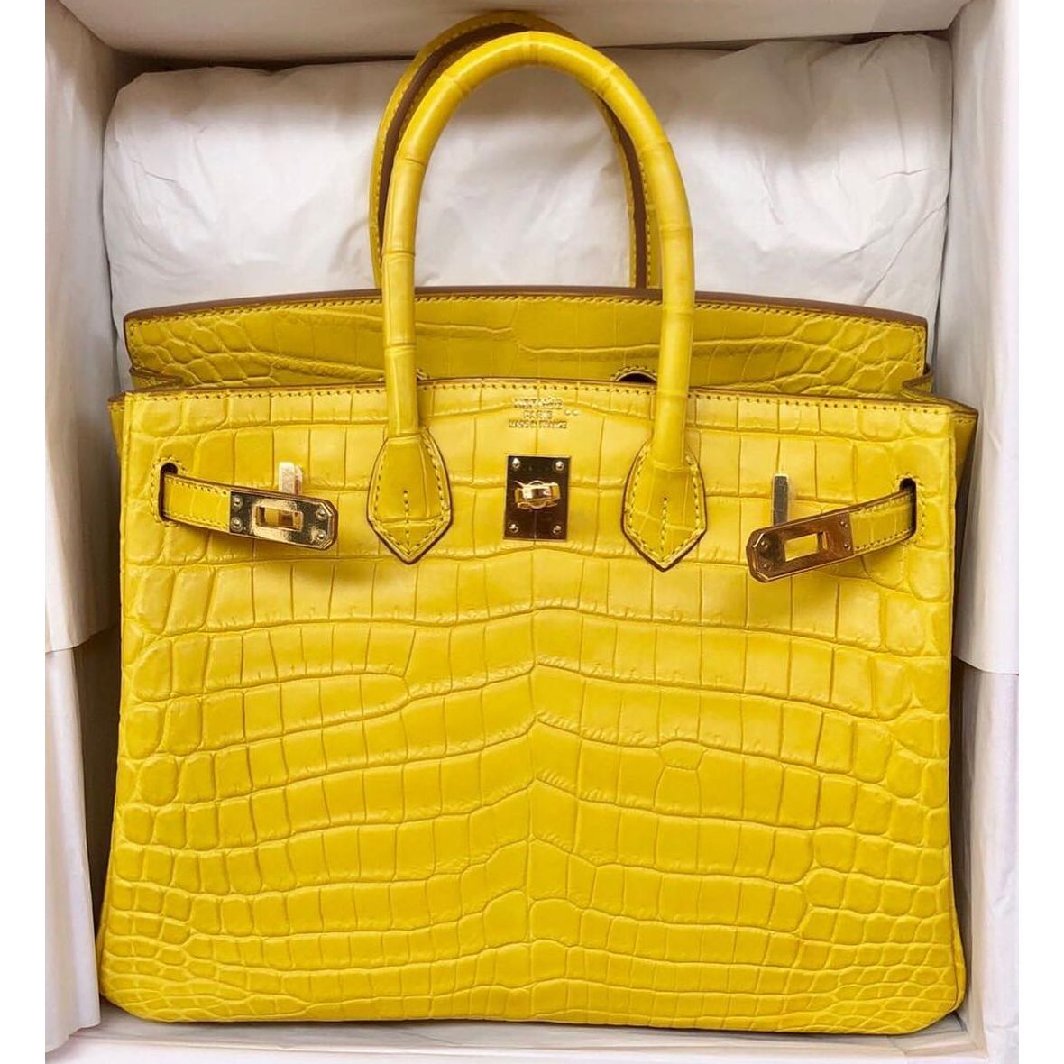 Hermes Birkin 25 Mimosa Niloticus Mat Matte Gold Hardware #Q - Vendome  Monte Carlo