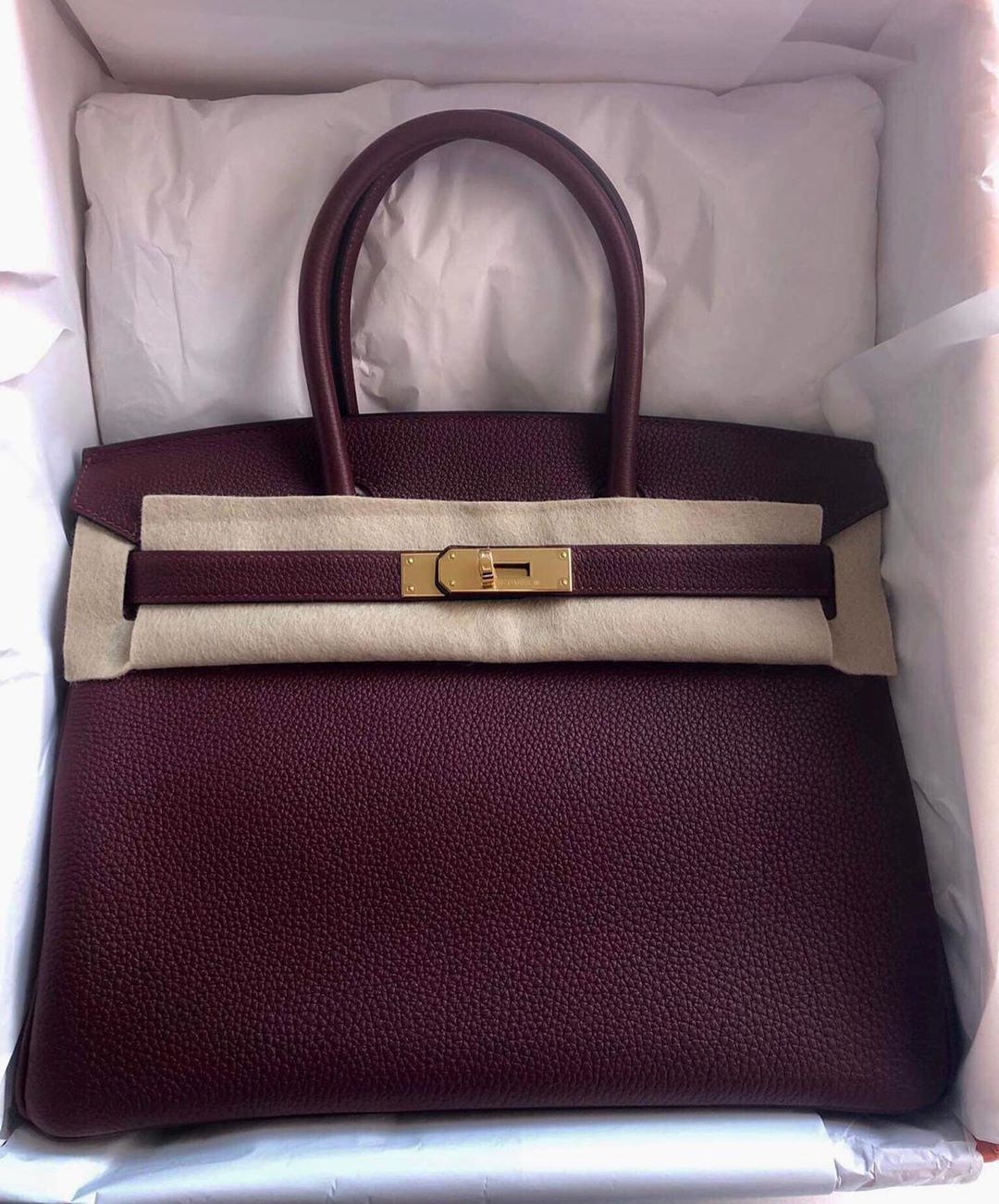 Hermes Birkin 25 Rouge H Togo Gold Hardware #C - Vendome