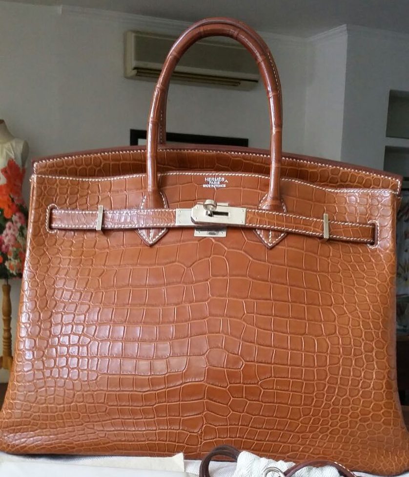 Hermes Birkin 40 Bag Rouge Red Matte Porosus Crocodile Palladium