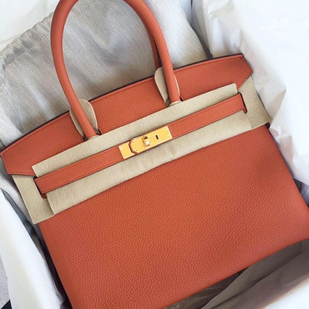 Rare Hermes Birkin 25 Terre Battue Orange Togo Leather Bag