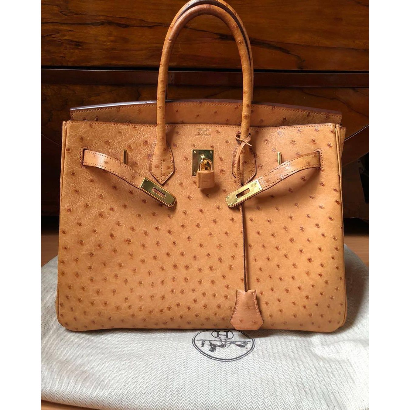 hermes camel bag