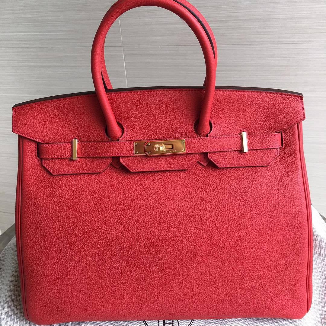 Hermes Birkin 25 Etoupe Togo Gold Hardware - Vendome Monte Carlo