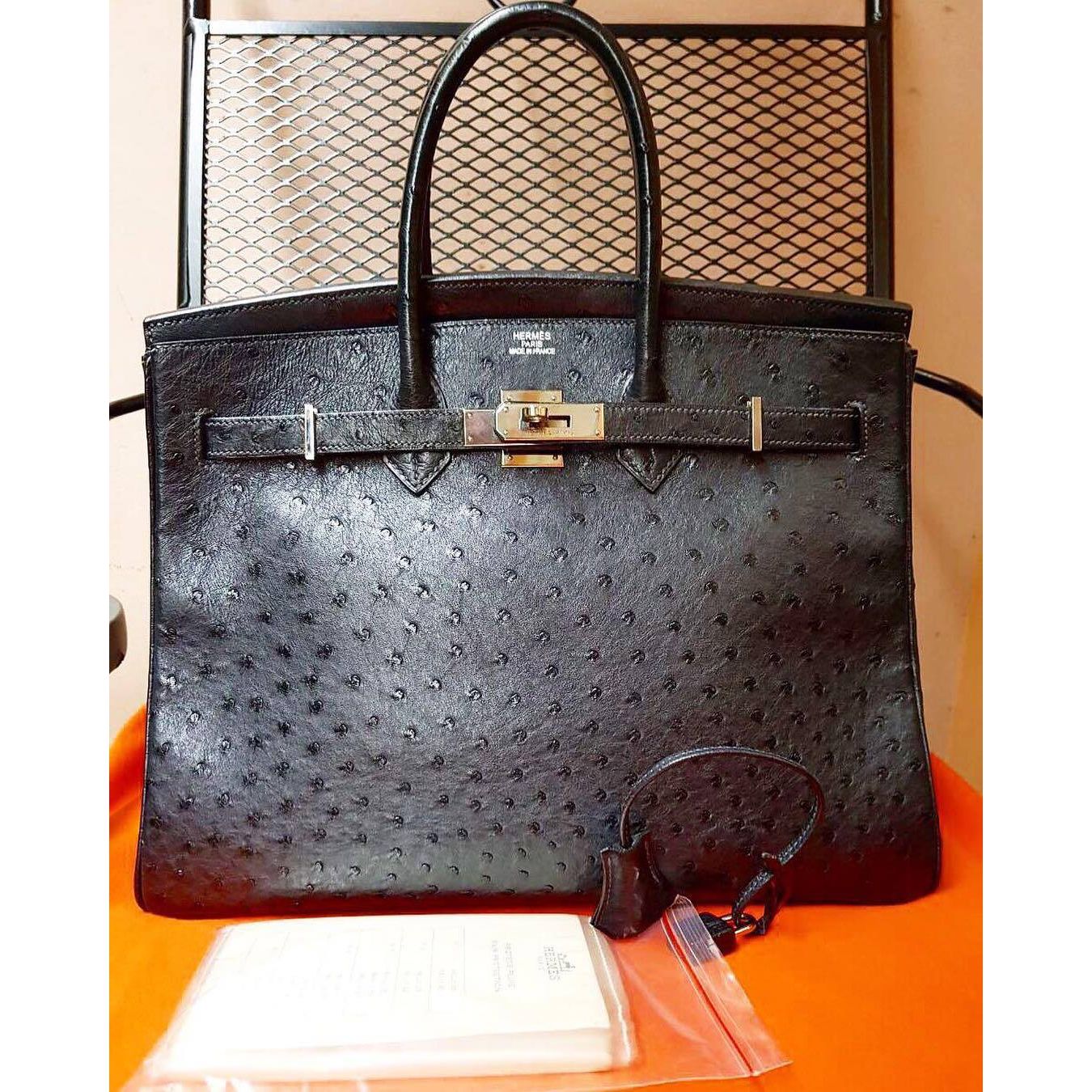Hermes birkin ostrich bag top