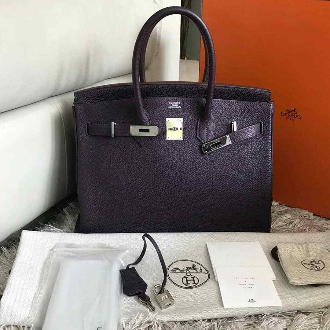 hermes birkin raisin