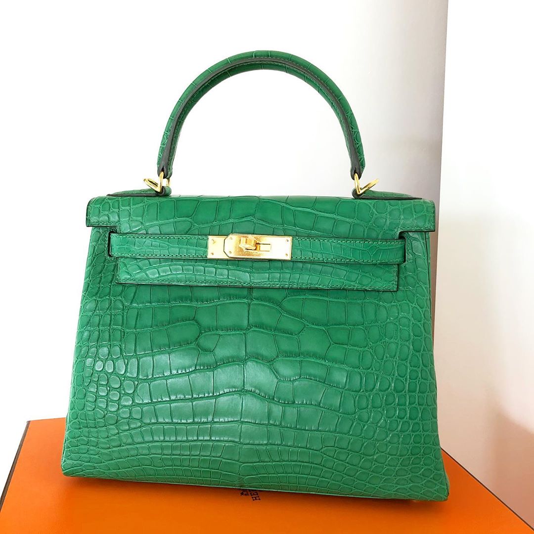 Hermes Kelly 28 Capucine Togo Palladium Hardware - Vendome Monte Carlo