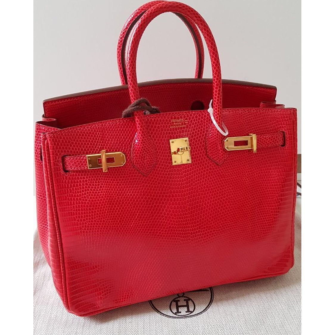 Hermes Birkin 25 In Red: Lizard Handbag