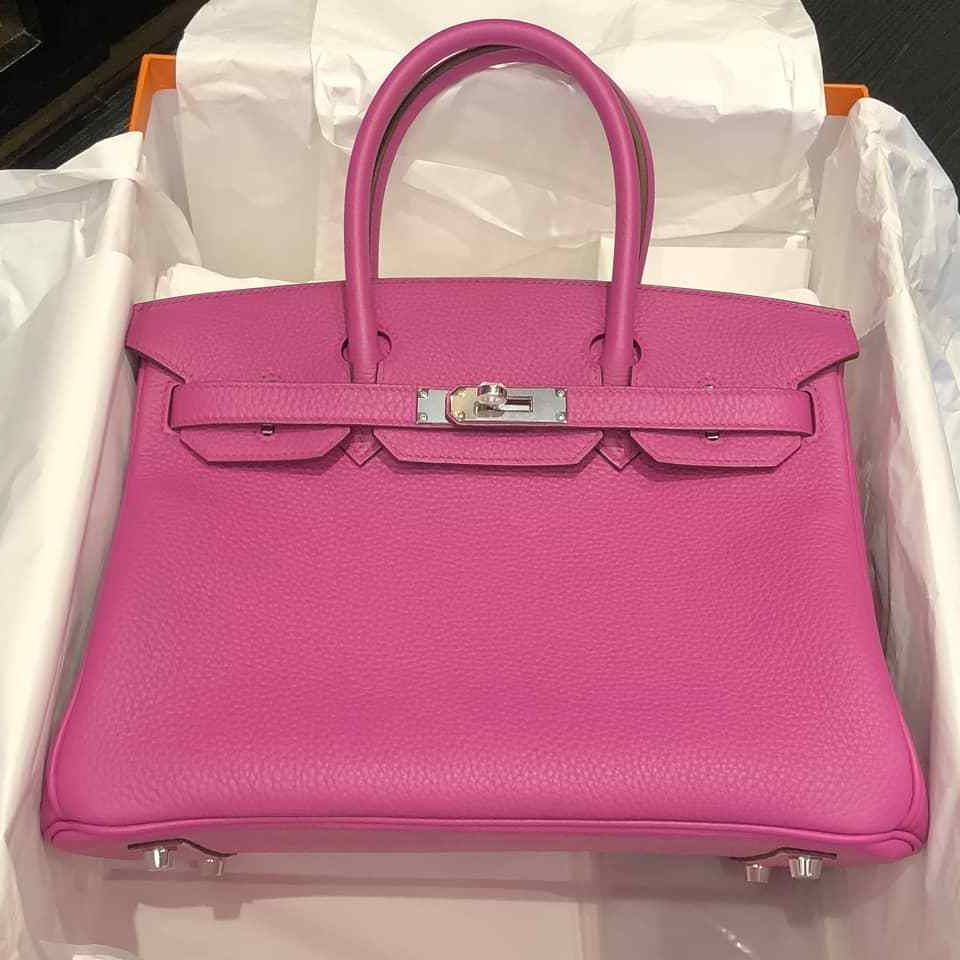 Hermes Birkin 25 Magnolia Togo Palladium Hardware #C - Vendome Monte Carlo